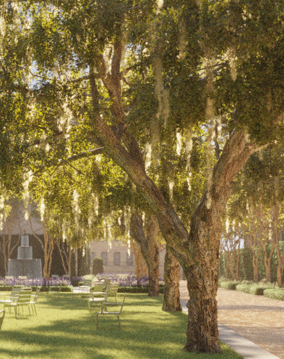 This image depicts an outdoor lawn with chairs and sunlight