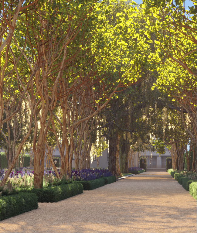 This image depicts a path with sunlight outside beneath the trees