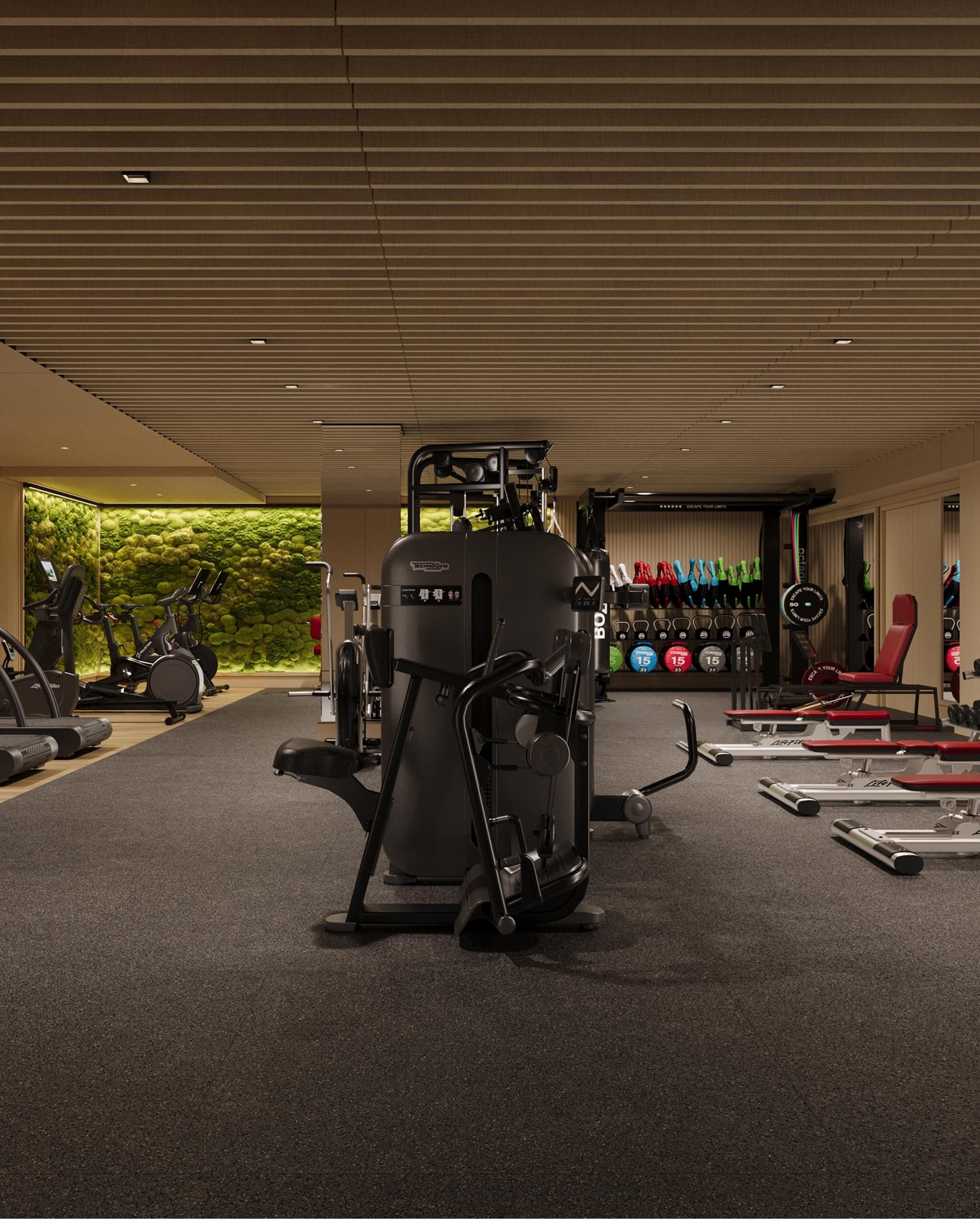 this image depicts a gym with machines